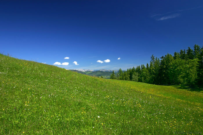 Sommerlandschaft auf 1000m Seeh&ouml;he beim Gasthof Ochnerbauer in Kindberg