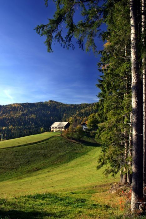 Bauernhof beim Berggasthof P&ouml;lzl in Kindberg.
Fotografiert 2004-10-24